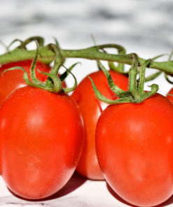 Seminte Tomate Albarossa F1
