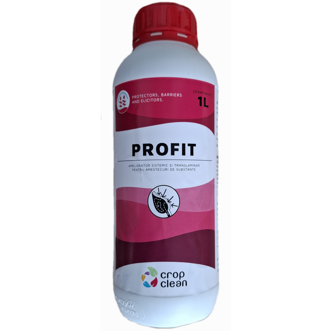 Profit