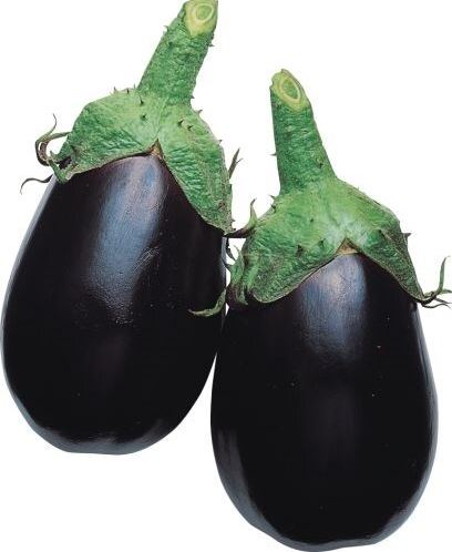 Vinete Black King F1
