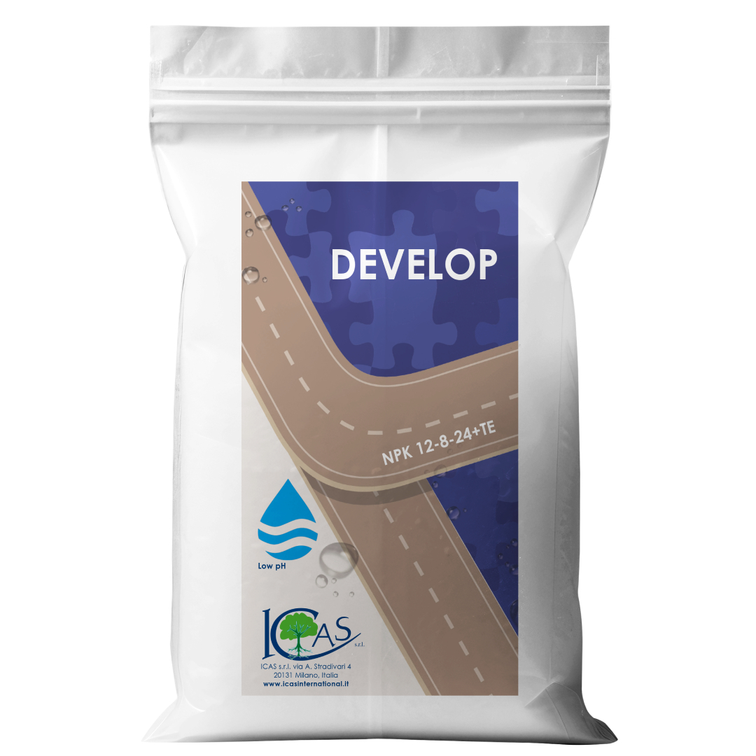 DEVELOP 12-8-24 + microelemente